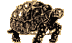 A Mt. Victory Camp Tortoise