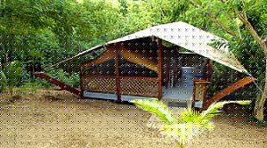 The Saman Bungalow habitat is surrounded by green forest