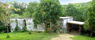 The Van Scholten Schoolhouse is mostly ruins surrounded by trees, with a camping bungalow built inside