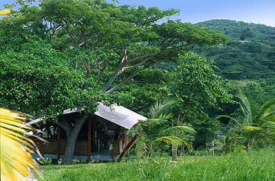 The Teak Bungalow unit, nestled in a group of trees, overlooks the Mount Victory farm valley.