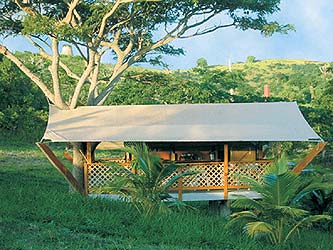 A view of the Mt Victory Teak bungalow habitat under a large tree, with a stone windmill tower on the hill beyond, St. Croix