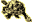 A Mt. Victory Camp Tortoise